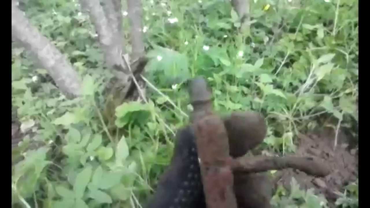 Искатели по войне видео монеты фрг стоимость каталог цены