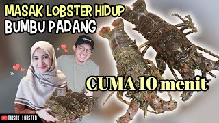 LOBSTER HIDUP ,BUMBU PADANG