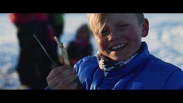 Sami reindeer spring migration in Norway