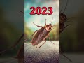 2023 Cockroach Vs 5000 Bce Cockroach