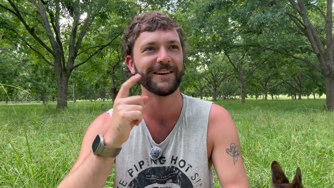 ✨ Поблагодарите своих фей — это разумно! 🧚‍♂️🌿