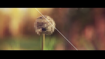 Stylizers 5 Excite | Add Energy and Motion to Your Video