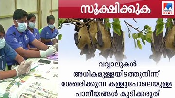 വവ്വാല്‍, പന്നി, പഴം, ഭക്ഷണം, ചുമ, പനി, ശ്വാസതടസം...; നിപയെ കരുതാം ഇങ്ങനെ | Nipah