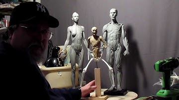 Sculpting Tutorial - Anatomical Correct Female and Male Reference Figures