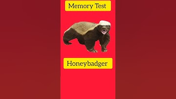 Brain memory test 99% failed 😜 #braintest #memorytest #memorychallenge #memorytestgame #memorygame