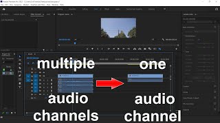 How To Convert From Multiple Audio Channels Into One Audio Channel In Premiere Pro