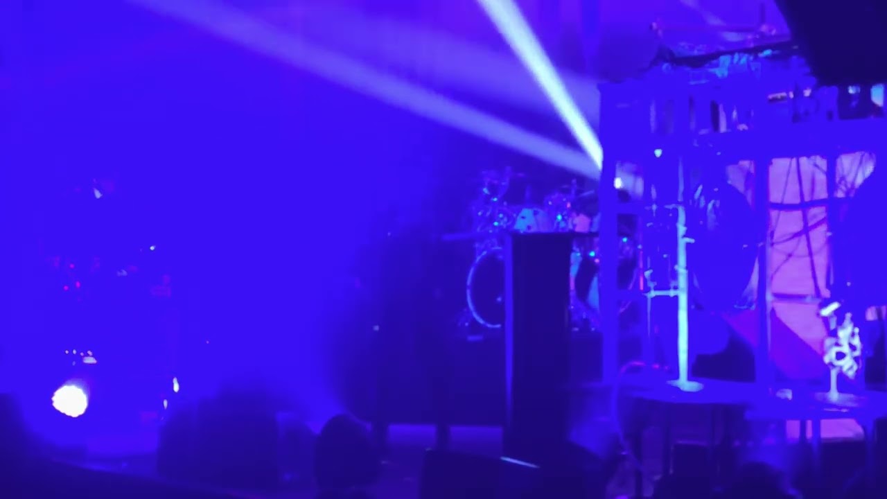 Skinny Puppy