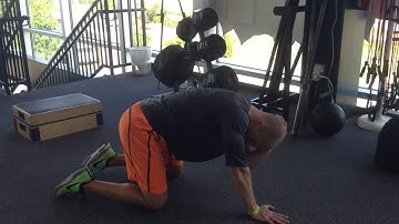 Quadruped Thoracic Rotation