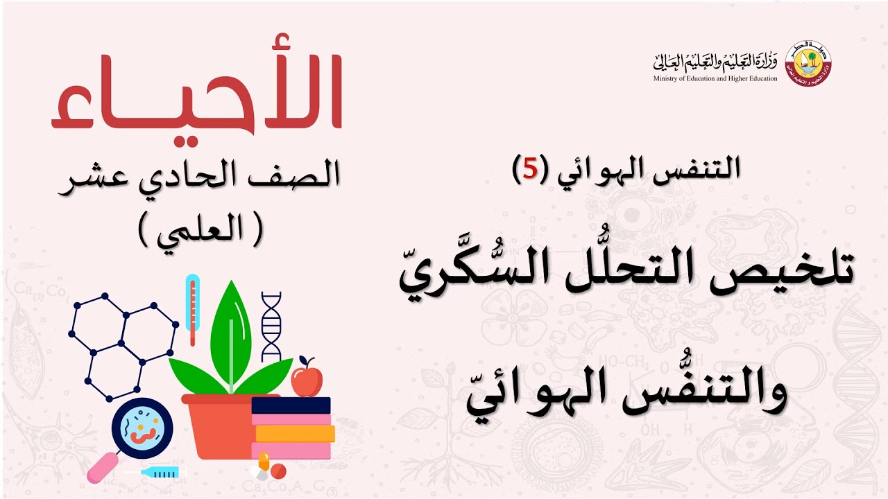 الصف الحادي عشر   المسار العلمي   الأحياء   التنفس الهوائي 5