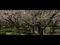 Canon EOS M 4.8k RAW 12bit 24fps(23.976) | Canon EF-M 18-55mm F3.5-5.6 STM | 4K Video(Ansan Korea)