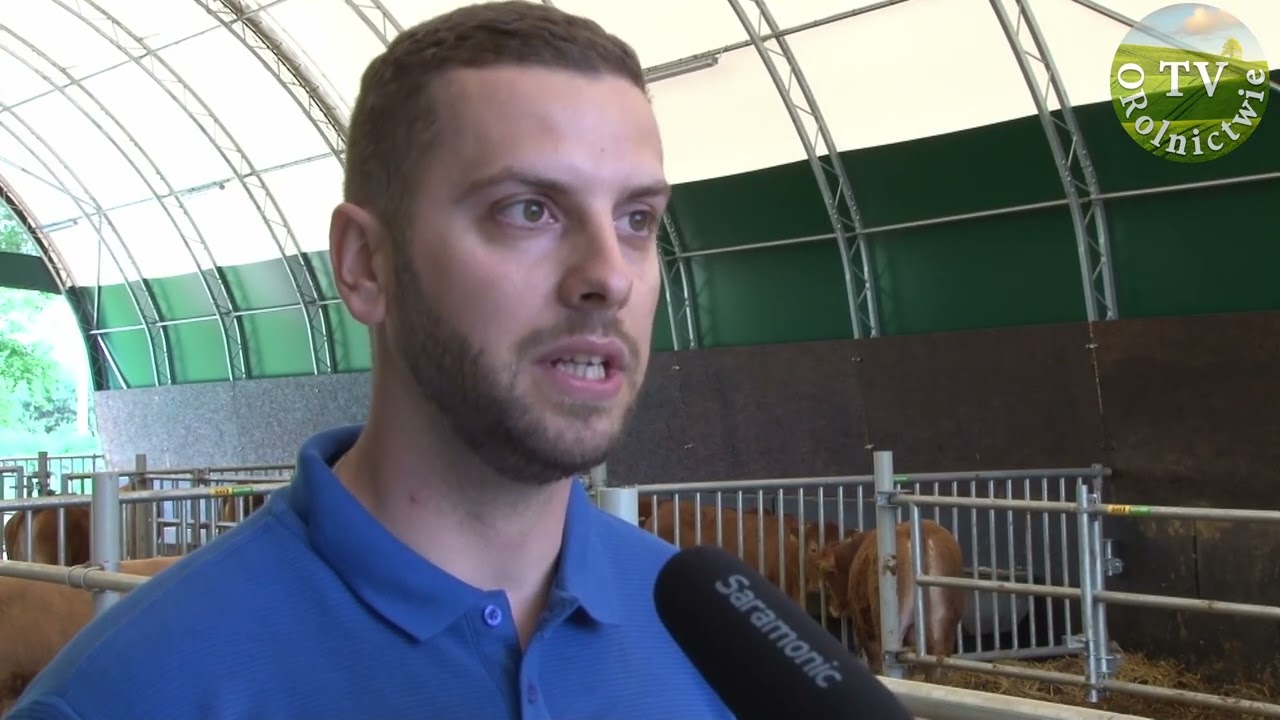 Hala dla 60 szt. bydła mięsnego