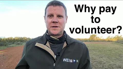 Why pay for wildlife volunteering in Africa?