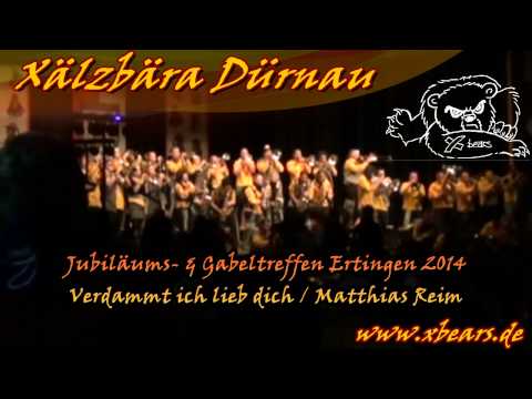 Xälzbära Dürnau in Ertingen 2014 / Verdammt ich lieb dich - Matthias Reim