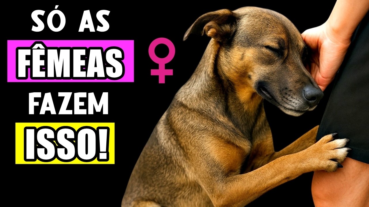 Só cadelas fazem ISSO… E a razão vai tocar seu CORAÇÃO! 🩷🐾