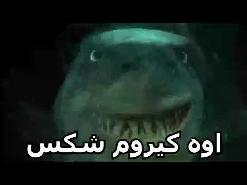 او کیروم شکس