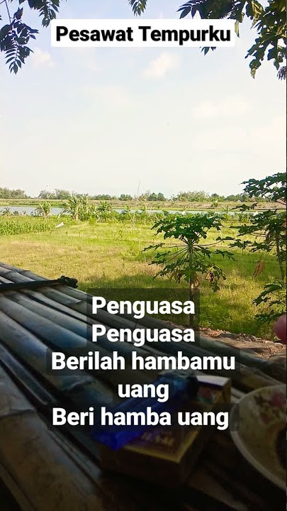 Pesawat Tempurku - Penguasa penguasa berilah hambamu uang - by iwan fals