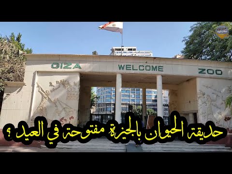 هل حديقة الحيوان مفتوحة في العيد افتتاح حديقة الحيوان بالجيزة امتى