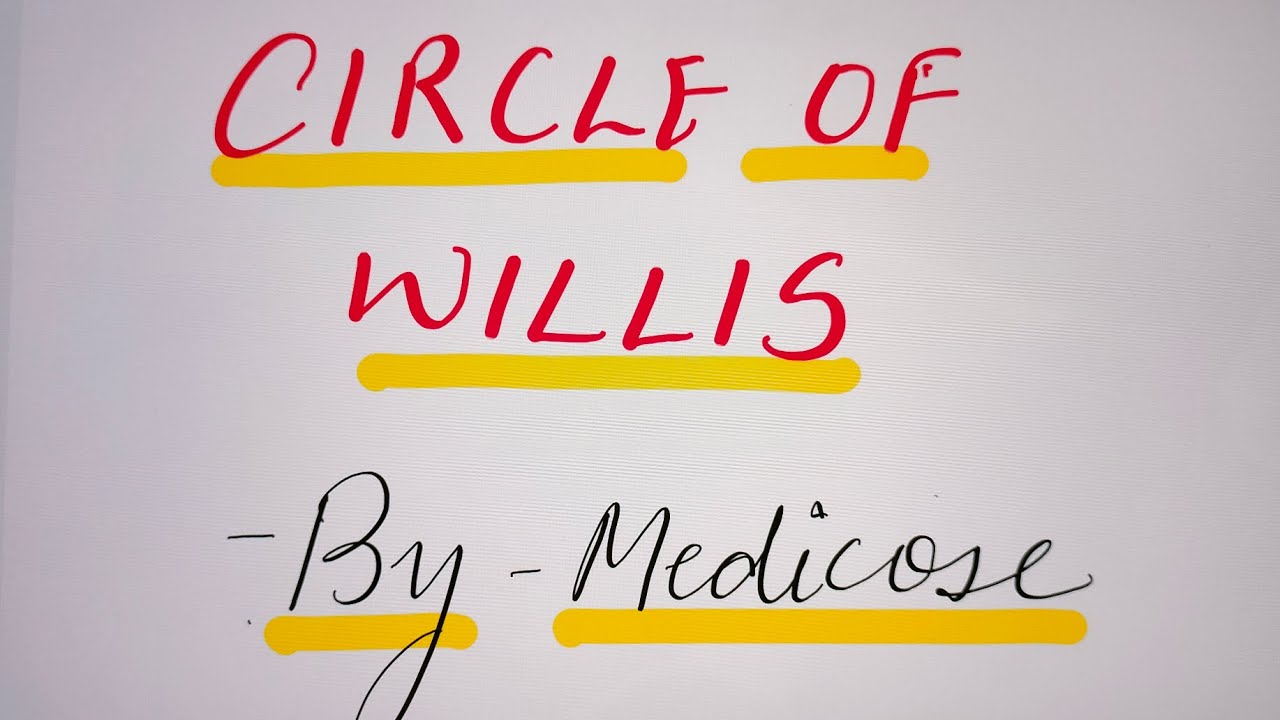 TRICK to draw CIRCLE OF WILLIS with labelling @Medi Cose # ...