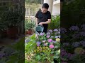 Don't Worry, Learn How to Fertilize Your Flowers Safely at Home