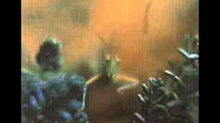 Video thumbnail of "Steely Dan - Everyone's Gone To the Movies (Katy Lied, March, 1975)"