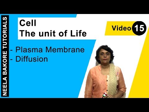 Cell - The Unit Of Life - Plasma Membrane - Diffusion