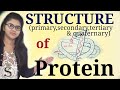 Protein structure  primary secondary tertiary and quaternary structure of protein  protein folding