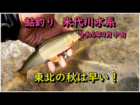 東北鮎人 東北鮎人 鮎 水中糸 ZX複合メタル | サンライン