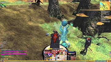 Everquest 2 - Words Of Pure Magic Vul