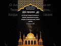 дуа Пророка( да благославит его Аллах и приветствует)