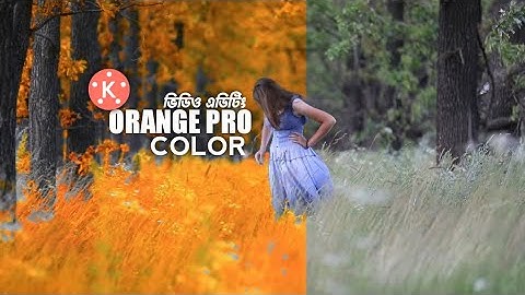 how to change color in video editing | color grading |color editing video in kinemaster