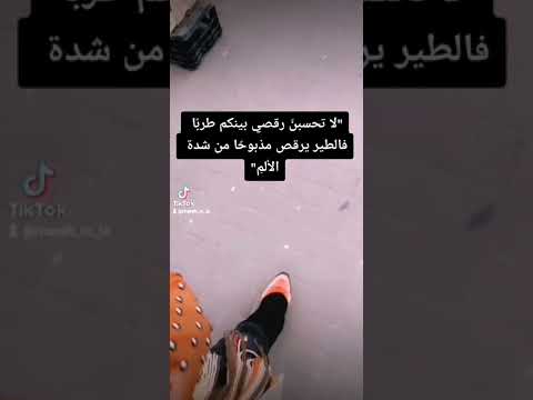 باشا باشا مقطع واتس اب