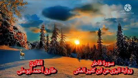سورة فاطر برواية البزى عن ابن كثير المكى بصوت طارق أبوعلى