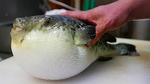 Quanto costa un piatto di pesce fugu?