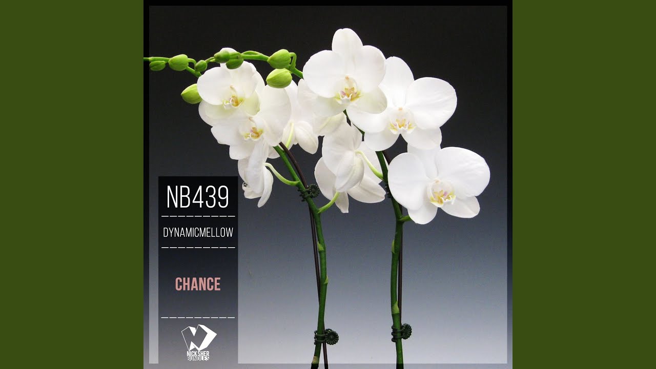 Watch Chance (Original Mix) on YouTube Watch Chance (Original Mix) on YouTube