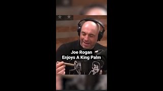 Joe Rogan Enjoys A King Palm