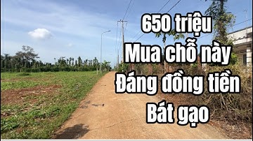 Đã bán. Kẹt tiền chủ bán đất vườn mini, vị trí đẹp, cao ráo,0 bằng phẳng gần quốc lộ 56 ở BRVT