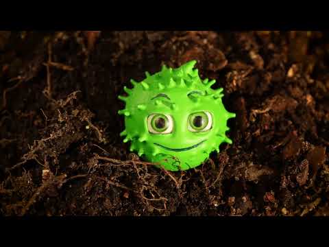 EARTHED / UZIEMIENI