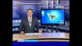 День мира - 2013 г.Пятигорск День мира - 2013 г.Пятигорск