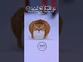 وفي أنفسكم افلا تبصرون Quran Shorts قرآن تلاوة خاشعة حالات واتس Cat Cats قطط 
