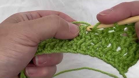 Half double crochet in the 3rd loop (camel stitch )