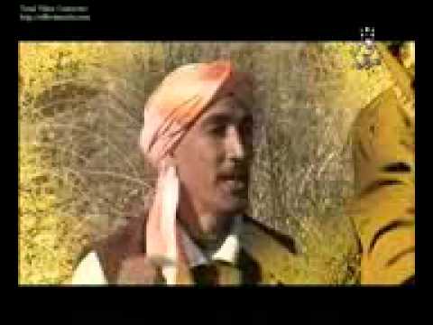 اولاد نايل مع شيخ قيقع