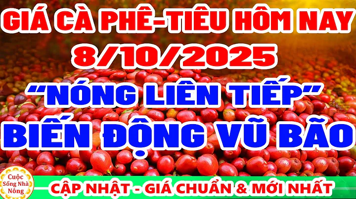 Giá cà phê hôm nay ngày 8/10/2025 | BIẾN ĐỘNG VŨ BÃO - giá tiêu hôm nay