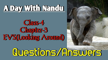 A Day With Nandu Class 4 Chapter‐3 EVS(Looking Around) Question-Answers @NCERTTHEMIND