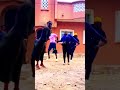 TI PE ROULER... #biama #mbalax #senegal #tabaski