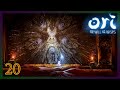 Ori and the will of the wisp  playthrough  part 20  gathered wisps