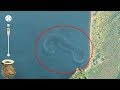 5 Misteriosas Criaturas Marinas Captadas Por Google Earth Y Google Maps