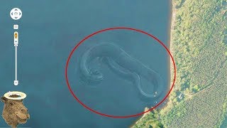 5 Misteriosas Criaturas Marinas Captadas Por Google Earth Y Google Maps