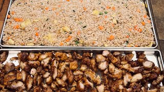 Freeze drying Panda Express Part 1 - orange chicken, chow mein, and fried rice