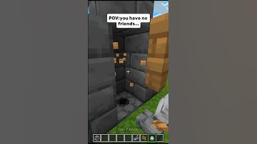 Minecraft POV:you have no friends #minecraft #shorts