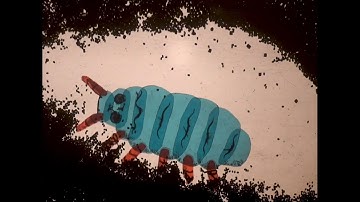 Underneath - Fossick project